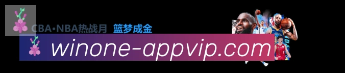 对战数据统计